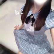 ヒメ日記 2026/04/20 17:24 投稿 ねこ コンカフェ×オナクラ ＠LOVE渋谷店