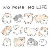 ヒメ日記 2026/03/31 07:55 投稿 あやめ 僕のぽっちゃり伝説