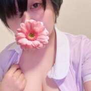 ヒメ日記 2026/09/14 17:33 投稿 しずる WHITE(ホワイト)
