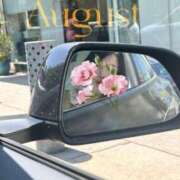 ヒメ日記 2025/08/17 10:38 投稿 柚樹 昼顔妻 五反田店