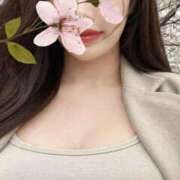 ヒメ日記 2026/04/08 15:01 投稿 柚樹 昼顔妻 五反田店