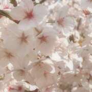 ヒメ日記 2026/04/06 08:09 投稿 みずほ☆体験入店 奥さま日記（今治店）