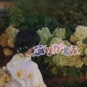 ヒメ日記 2026/07/31 23:29 投稿 れい アイドルドリーム