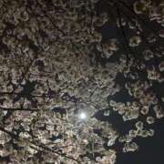 ヒメ日記 2026/05/03 23:32 投稿 こと Seirenes (セイレネス)
