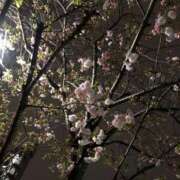 ヒメ日記 2026/04/09 20:12 投稿 えりか エマーブル