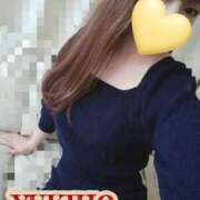 ヒメ日記 2026/03/25 05:22 投稿 ゆきほ 桃李（とうり）