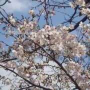 ヒメ日記 2026/03/27 17:26 投稿 聖川 熟女の風俗最終章　鶯谷店