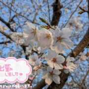 ヒメ日記 2026/03/29 10:23 投稿 聖川 熟女の風俗最終章　鶯谷店