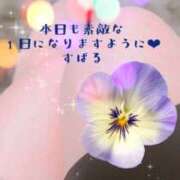 ヒメ日記 2026/03/27 08:10 投稿 すばる 奥鉄オクテツ東京店（デリヘル市場）