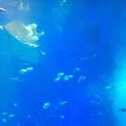 ヒメ日記 2026/08/20 13:49 投稿 神宮寺　りりこ タッチVIP