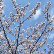 夏目（なつめ） 【お礼逆口コミ日記】💌 丸妻 錦糸町店