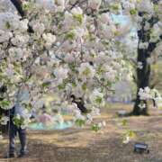 ヒメ日記 2026/04/06 09:37 投稿 夏目（なつめ） 丸妻 錦糸町店