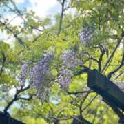 ヒメ日記 2026/04/17 09:58 投稿 夏目（なつめ） 丸妻 錦糸町店