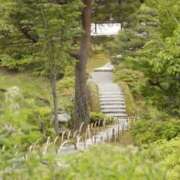 ヒメ日記 2026/05/30 14:36 投稿 夏目（なつめ） 丸妻 錦糸町店