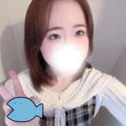 ヒメ日記 2026/03/28 00:27 投稿 ひいらぎ♡未経験素人美女♡ 即生専門店ゴッドパイ