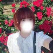 ヒメ日記 2026/06/09 15:04 投稿 ひいらぎ♡未経験素人美女♡ 即生専門店ゴッドパイ