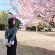 ヒメ日記 2026/03/24 01:57 投稿 ゆず SCREEN(スクリーン)