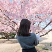 ヒメ日記 2026/03/27 13:12 投稿 ゆず SCREEN(スクリーン)