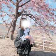 ヒメ日記 2026/03/28 10:18 投稿 ゆず SCREEN(スクリーン)