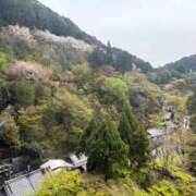 ヒメ日記 2026/04/09 00:21 投稿 羽風いずみ ウルトラプラチナム