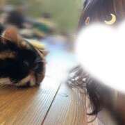 ヒメ日記 2026/04/07 14:17 投稿 えみり ハピネス東京