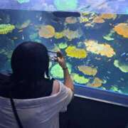 ヒメ日記 2026/04/17 04:38 投稿 さくら ハニープラザ（ユメオト）