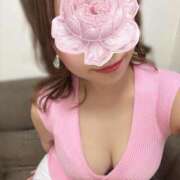 ヒメ日記 2026/04/17 14:11 投稿 舞花 Mrs.RankUp（ミセスランクアップ）