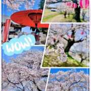 ヒメ日記 2026/04/03 11:45 投稿 椎菜（しいな） 高崎回春性感SPA