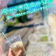 ヒメ日記 2026/04/12 12:15 投稿 椎菜（しいな） 高崎回春性感SPA