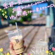 ヒメ日記 2026/05/05 10:39 投稿 椎菜（しいな） 高崎回春性感SPA