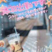 ヒメ日記 2026/05/13 10:20 投稿 椎菜（しいな） 高崎回春性感SPA