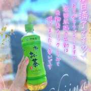 ヒメ日記 2026/05/17 11:23 投稿 椎菜（しいな） 高崎回春性感SPA