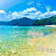 ヒメ日記 2026/06/20 10:52 投稿 椎菜（しいな） 高崎回春性感SPA
