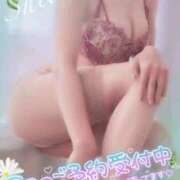 ヒメ日記 2026/06/29 21:32 投稿 椎菜（しいな） 高崎回春性感SPA