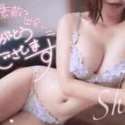 ヒメ日記 2026/07/29 19:34 投稿 椎菜（しいな） 高崎回春性感SPA