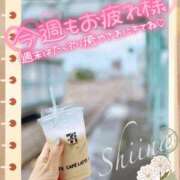 ヒメ日記 2026/09/12 10:37 投稿 椎菜（しいな） 高崎回春性感SPA