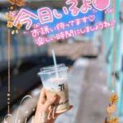 ヒメ日記 2026/10/03 10:34 投稿 椎菜（しいな） 高崎回春性感SPA