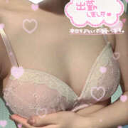 わか新人 朝からたっぷり…/// THE・TRY