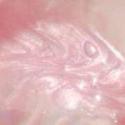 ヒメ日記 2026/04/23 00:17 投稿 わか新人 THE・TRY