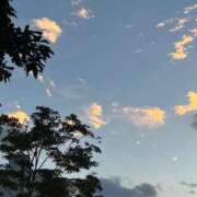 ヒメ日記 2026/03/26 14:15 投稿 みさき ぷるりんクエスト上野浅草鶯谷秋葉原デリヘル王国