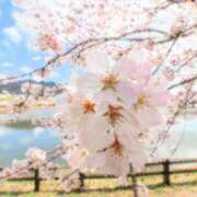 ヒメ日記 2026/04/21 13:36 投稿 みさき ぷるりんクエスト上野浅草鶯谷秋葉原デリヘル王国