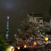 ヒメ日記 2026/03/28 21:17 投稿 愛沢るか ウルトラハピネス