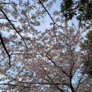 ヒメ日記 2026/04/04 16:33 投稿 愛沢るか ウルトラハピネス