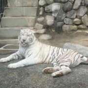 ヒメ日記 2026/04/15 18:16 投稿 愛沢るか ウルトラハピネス