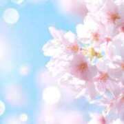 ヒメ日記 2026/03/24 23:33 投稿 さくら☆淫らな敏感人妻 大崎・古川 デリヘル 激安王