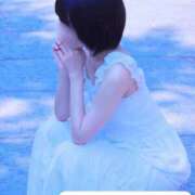 ヒメ日記 2026/03/31 12:32 投稿 ねこ エピセレクション