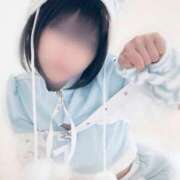 ヒメ日記 2026/04/01 12:32 投稿 ねこ エピセレクション