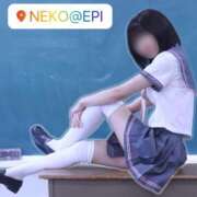 ねこ なんでもできるって エピセレクション