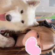 ヒメ日記 2026/03/24 23:06 投稿 ゆめ 萌えカワ