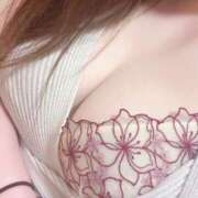 ヒメ日記 2026/04/08 13:02 投稿 ひより シルクハット